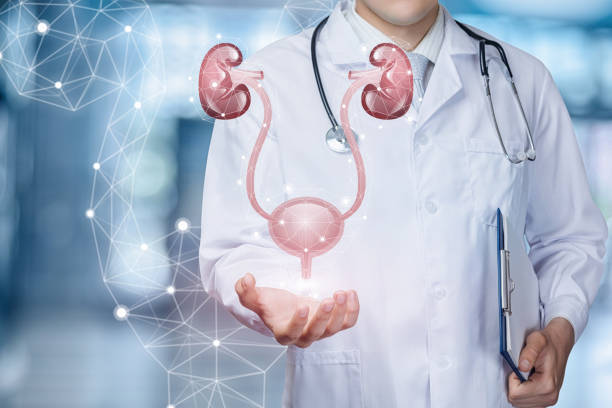 Médico Urologista
